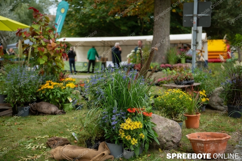 Spreebote-Natur-Entdecken-und-Erleben_gallery1_04