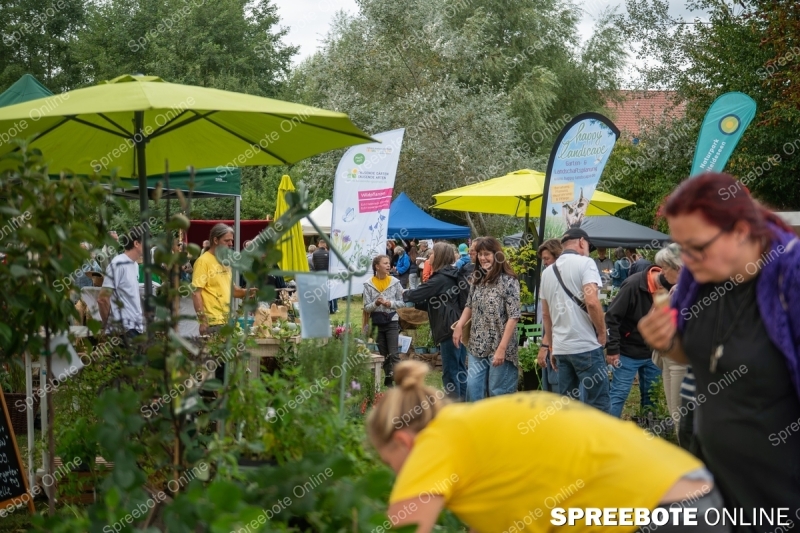 Spreebote-Natur-Entdecken-und-Erleben_gallery1_22
