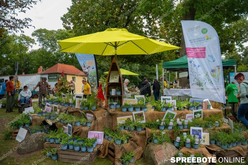 Spreebote-Natur-Entdecken-und-Erleben_gallery1_25