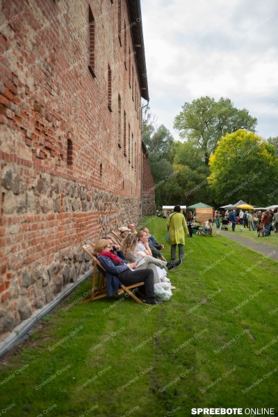 Spreebote-Natur-Entdecken-und-Erleben_gallery1_28
