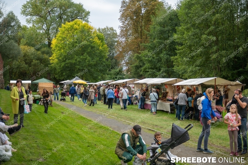 Spreebote-Natur-Entdecken-und-Erleben_gallery1_29