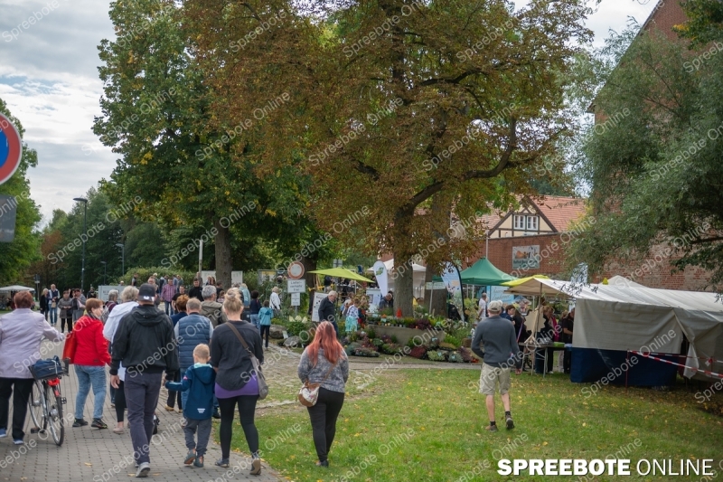 Spreebote-Natur-Entdecken-und-Erleben_gallery1_37