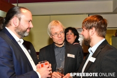 Neujahr-Stadt-Fürstenwalde-39