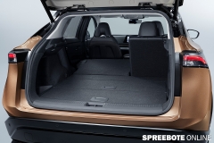 spreebote-auto-Nissan-Ariya-9