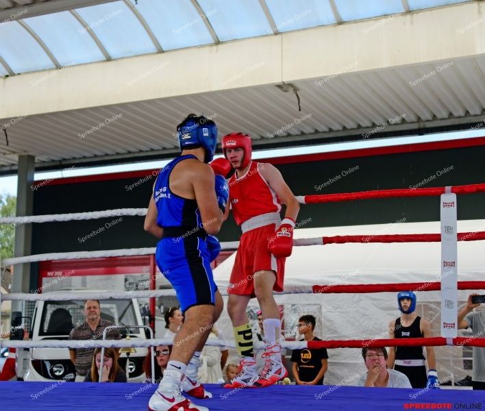 Spreebote-Nissan-Boxen-001