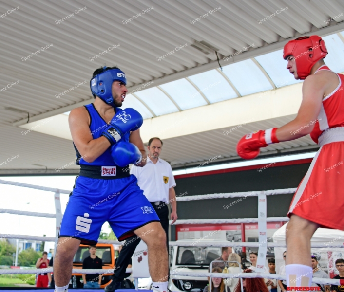 Spreebote-Nissan-Boxen-002