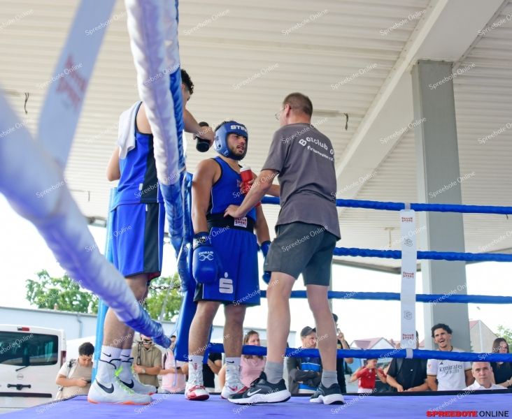 Spreebote-Nissan-Boxen-003