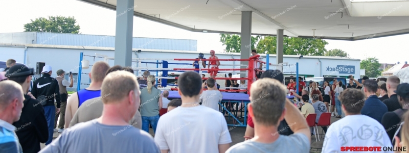 Spreebote-Nissan-Boxen-004