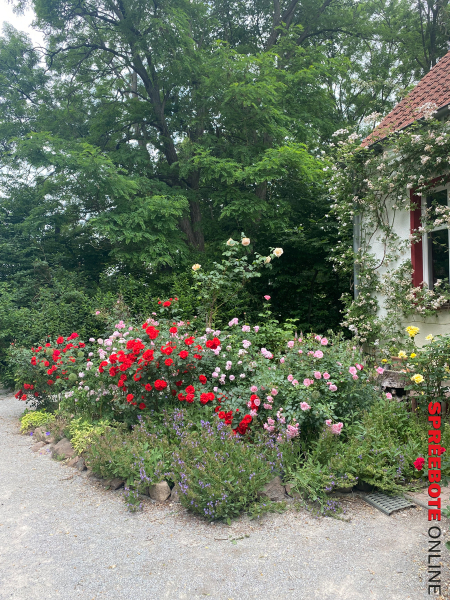 Offene-Gärten-im-Oderbruch-5