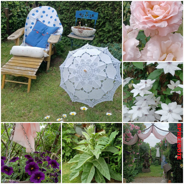 Offene-Gärten-im-Oderbruch-6