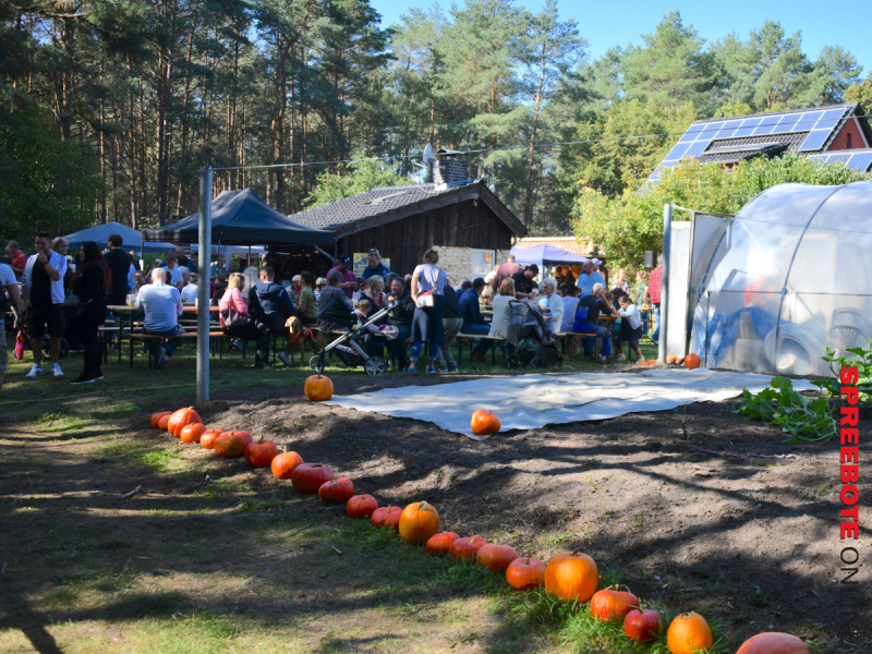 Ollis-Kuerbisfest-12