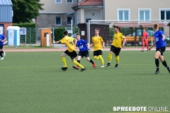 Spreebote-Pneumi-A-Hertha-Neutrebbin-10