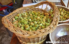 Oppitz-Milan-Paaren-Glien-4