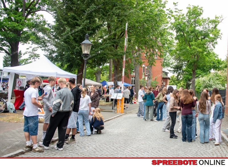 Spreebote-Orientierung-fur-morgen_gallery1_20