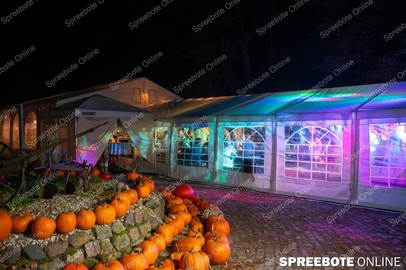 Spreebote-Ozapt-is-bei-Kurbis-Olli_gallery1_06
