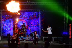 Parkbuehne-Die-toten-Aerzte-4