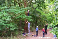 spreebote-Paule-Kinderfest-17