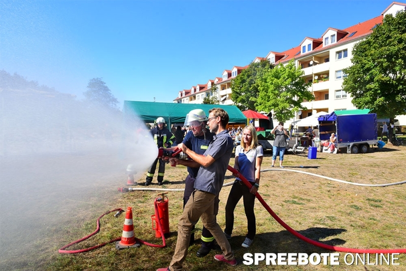 Paule-Fest-7