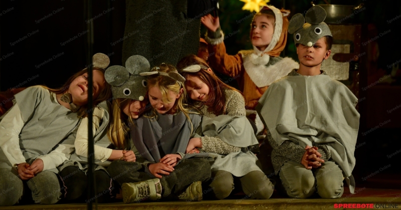 Pfarrer-Brauer-Schule-Weihnachtskonzert-Nachgeholt-009