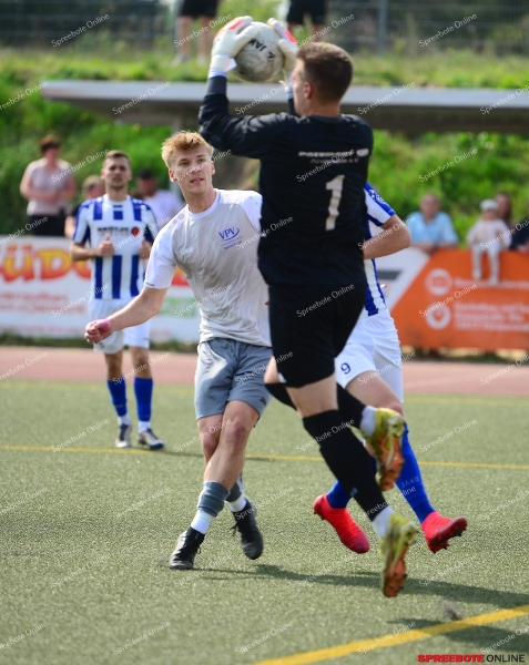 Pneumant-FV-Blau-Weiss-Briesen-005