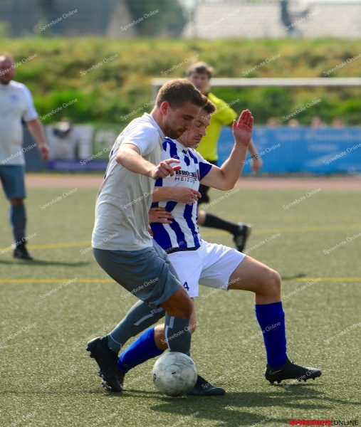 Pneumant-FV-Blau-Weiss-Briesen-012