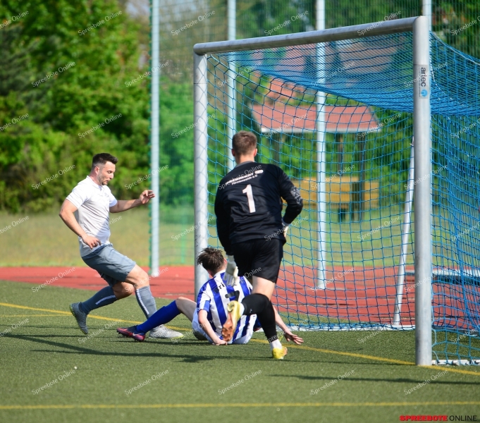 Pneumant-FV-Blau-Weiss-Briesen-031