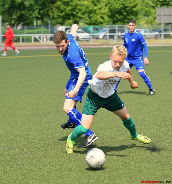 Pneumant-Grun-Weiss-Lubben-003