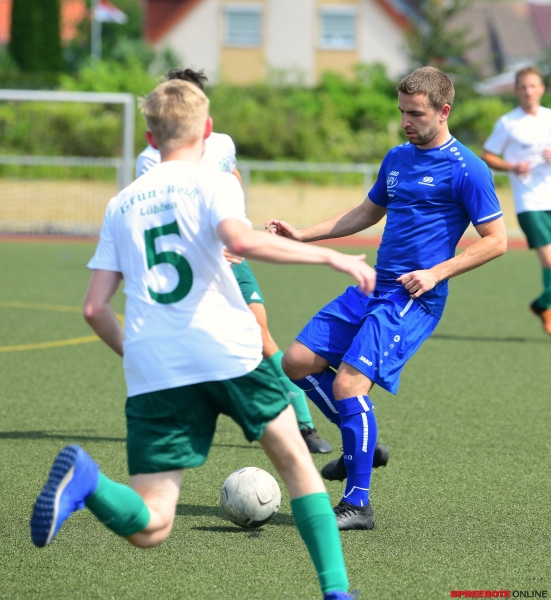 Pneumant-Grun-Weiss-Lubben-004