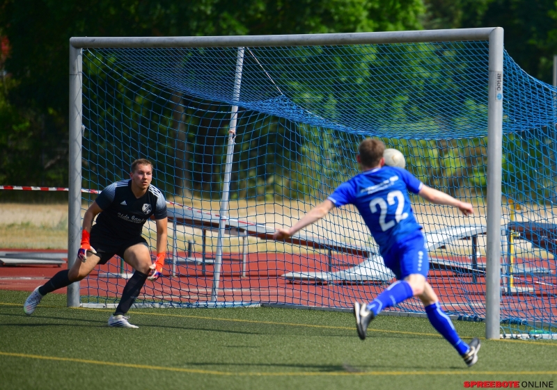 Pneumant-Grun-Weiss-Lubben-006