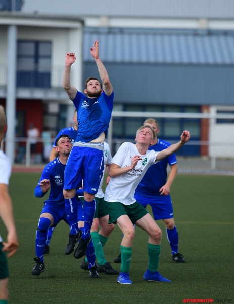 Pneumant-Grun-Weiss-Lubben-007