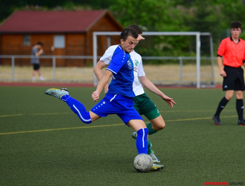 Pneumant-Grun-Weiss-Lubben-009