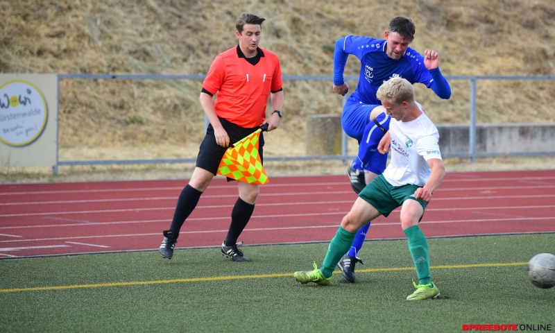 Pneumant-Grun-Weiss-Lubben-011