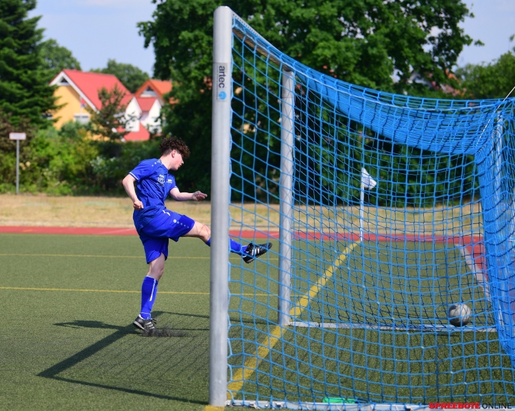 Pneumant-Grun-Weiss-Lubben-013