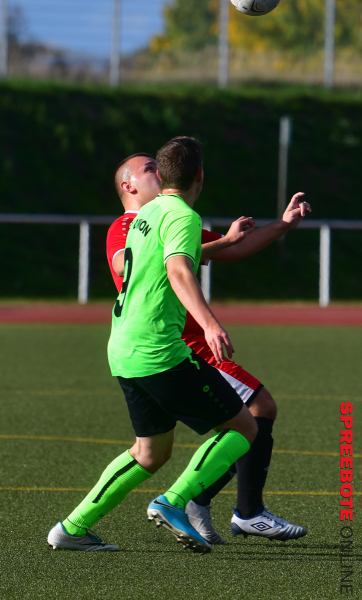 Pneumant-II-FSV-III-04