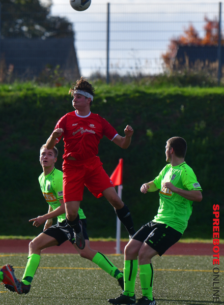 Pneumant-II-FSV-III-06