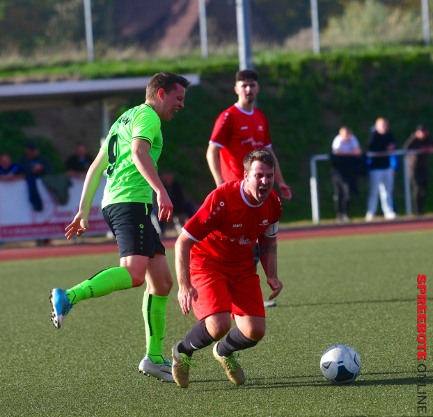 Pneumant-II-FSV-III-13