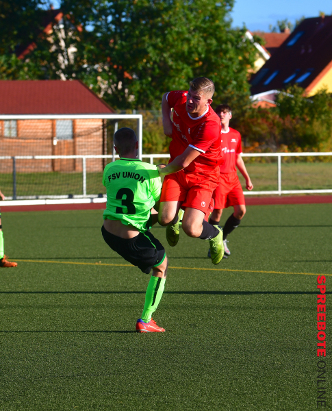 Pneumant-II-FSV-III-35