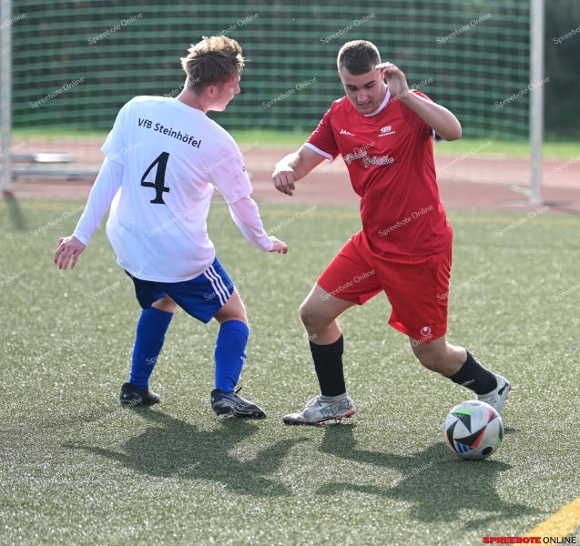 Pneumant-II-Steinhofel-II-003