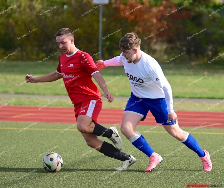 Pneumant-II-Steinhofel-II-007