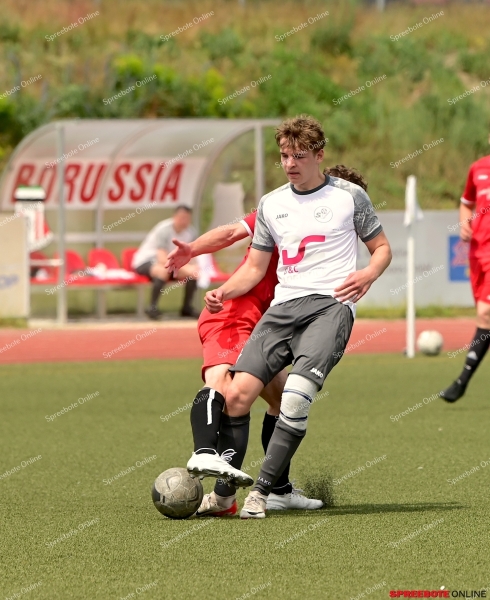 Pneumant-II-SV-1919-Woltersdorf-II-006