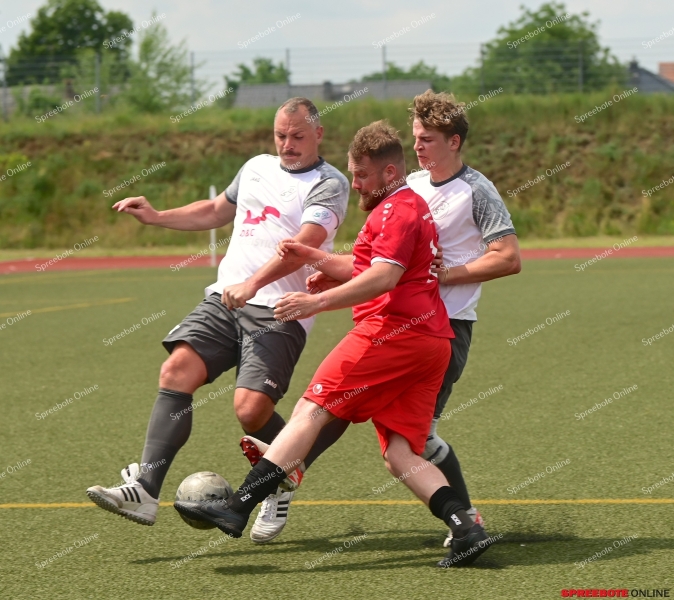 Pneumant-II-SV-1919-Woltersdorf-II-013