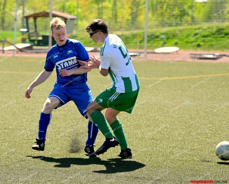 Pneumant-II-SV-Eiche-Gross-Rietz-001