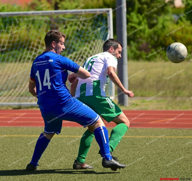 Pneumant-II-SV-Eiche-Gross-Rietz-004