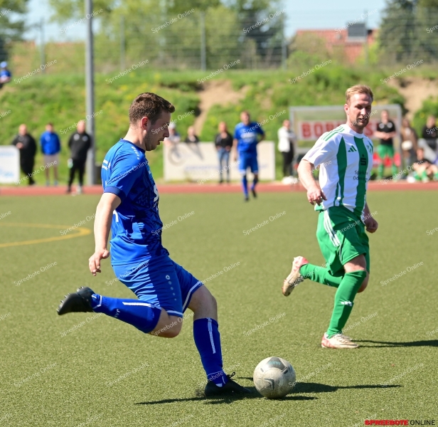 Pneumant-II-SV-Eiche-Gross-Rietz-009