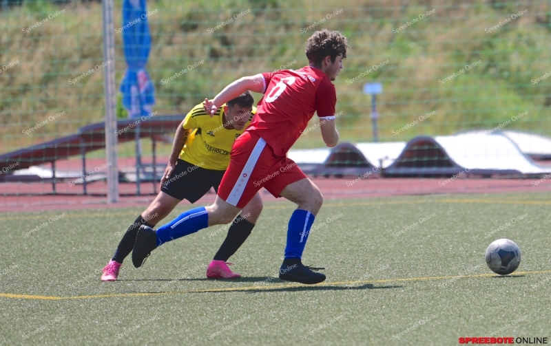 Pneumant-II-Wacker-Herzfelde-003