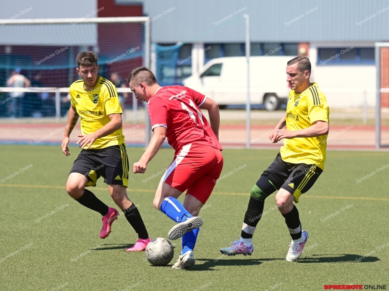 Pneumant-II-Wacker-Herzfelde-007