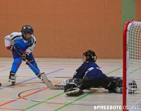 Inline-Hockey-Bambini-Turnier-278