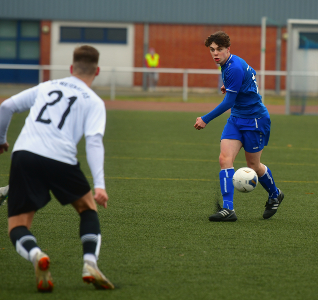 Pneumant-SG-Wiesenau-03-20-17