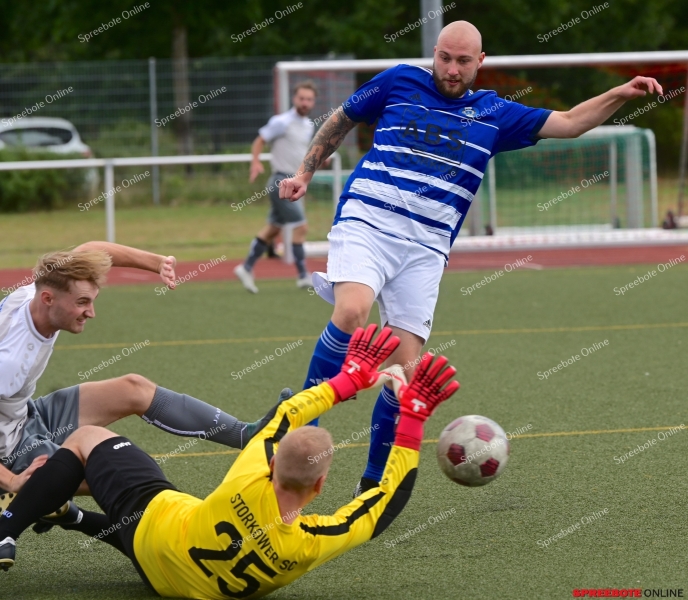 Pneumant-Storkower-SC-005