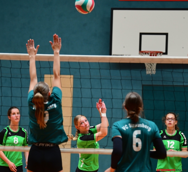 Pneumant-Volleyball-Turnier-005